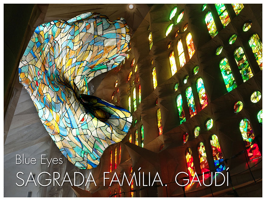 Diseño inspirado en los vitrales de luz de la Sagrada Familia - Marca para Museos